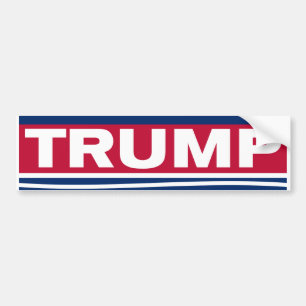 Autocollant De Voiture Stand with Trump~2024~MAGA