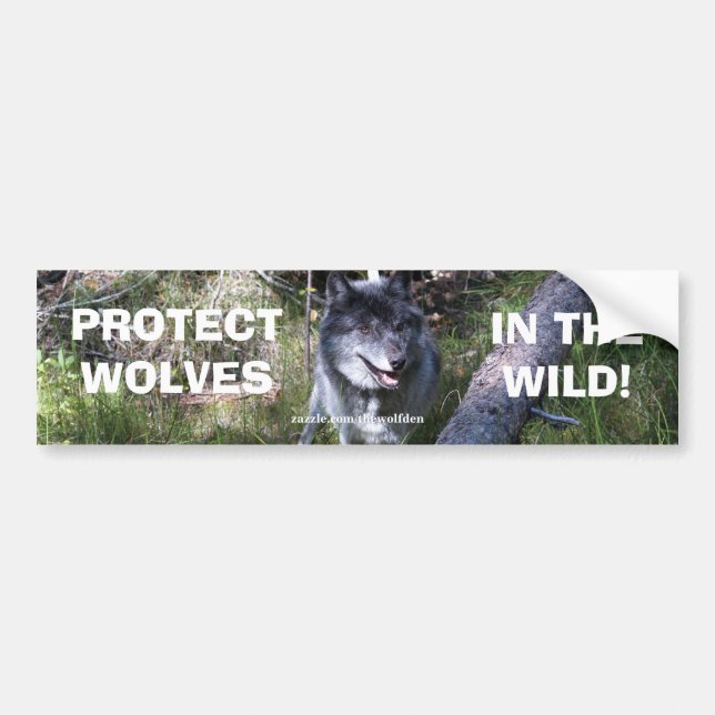 Autocollant De Voiture sticker du pare-chocs de conservation de la faune  (Devant)