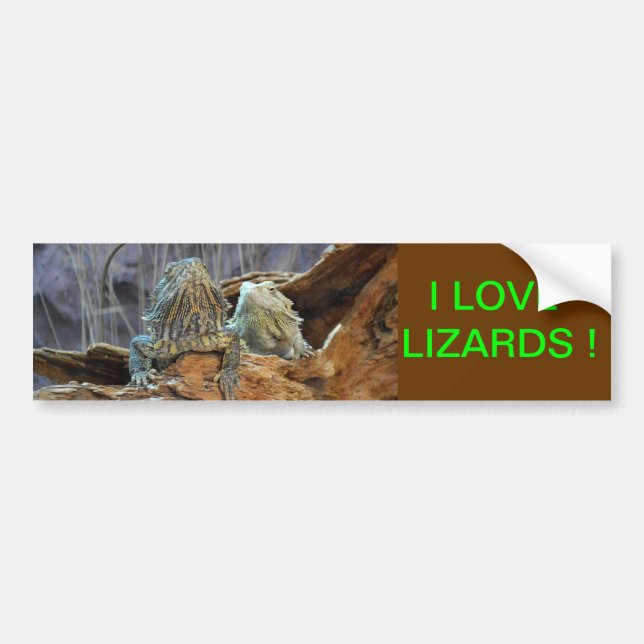Autocollant De Voiture Sticker pare-chocs avec deux lézards curieux (Devant)