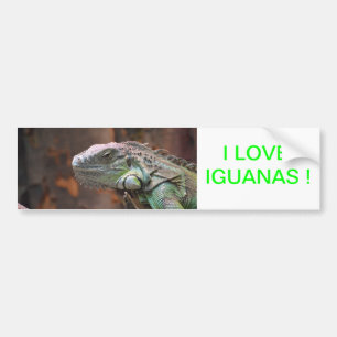 Autocollant De Voiture Sticker pare-chocs avec lézard Iguana coloré