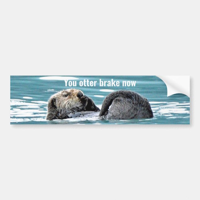 Autocollant De Voiture Sticker pare-chocs de la loutre (Devant)