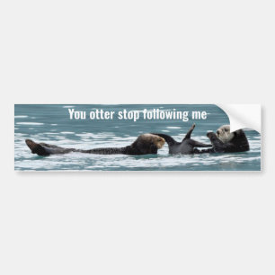 Autocollant De Voiture Sticker pare-chocs de loutres