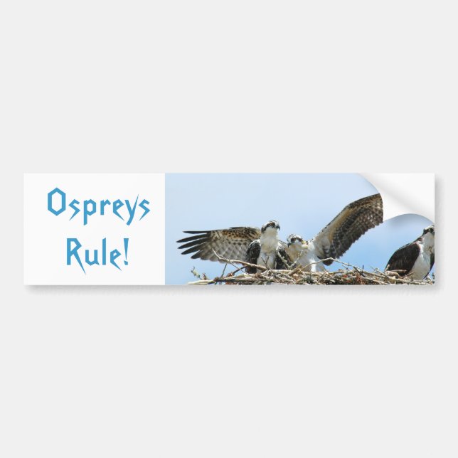 Autocollant De Voiture Sticker pare-chocs de règle Ospreys (Devant)