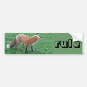Autocollant De Voiture sticker pare-chocs Fox