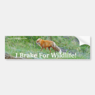 Autocollant De Voiture Sticker pare-chocs Fox Wildlife Protection
