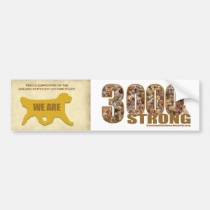 Autocollant De Voiture Sticker pare-chocs - Nous sommes 3000 Fort