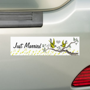 Autocollant De Voiture Sticker pour oiseaux Vintages mariés