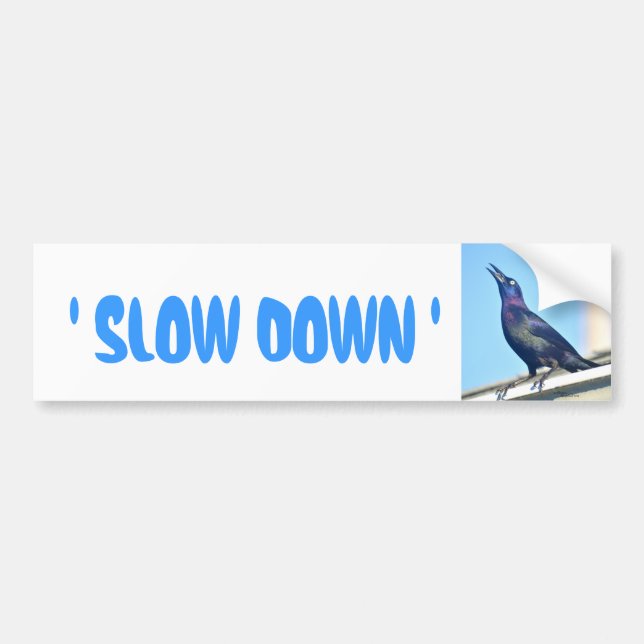Autocollant De Voiture Sticker Slow Down pour pare-chocs (Devant)