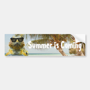 Autocollant De Voiture Summer is Coming
