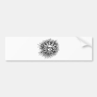 Autocollant De Voiture Sun font face