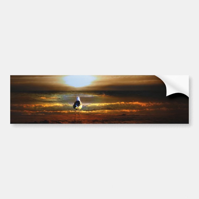 Autocollant De Voiture Sunset Seagull (Devant)