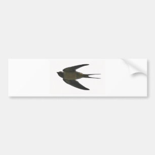 Autocollant De Voiture Swallow