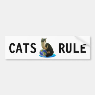 Autocollant De Voiture Tabby Cat & Earth Globe