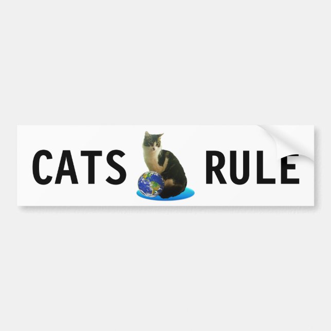 Autocollant De Voiture Tabby Cat & Earth Globe (Devant)