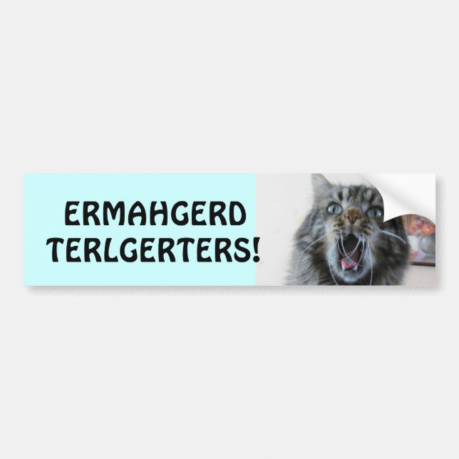Autocollant De Voiture Terlgerters ! Ermahgerd ! Tailgaters de Kitty choq (Devant)