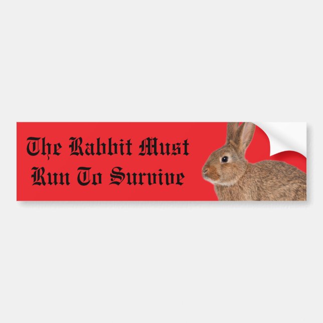 Autocollant De Voiture The rabbit must run to survive bumper sticker (Devant)