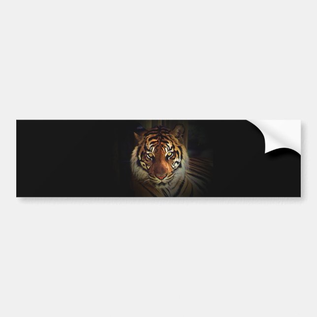 Autocollant De Voiture Tigre (Devant)