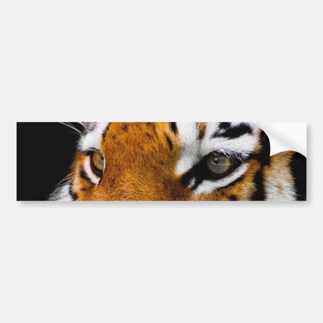 Autocollant De Voiture Tigre (Devant)
