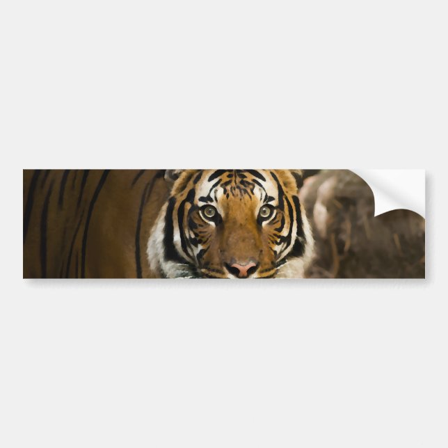 Autocollant De Voiture Tigre de Sibérie (Devant)