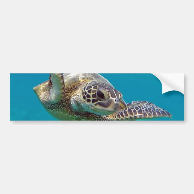 Autocollant De Voiture Tortue de mer verte d'Hawaii - Honu (Devant)