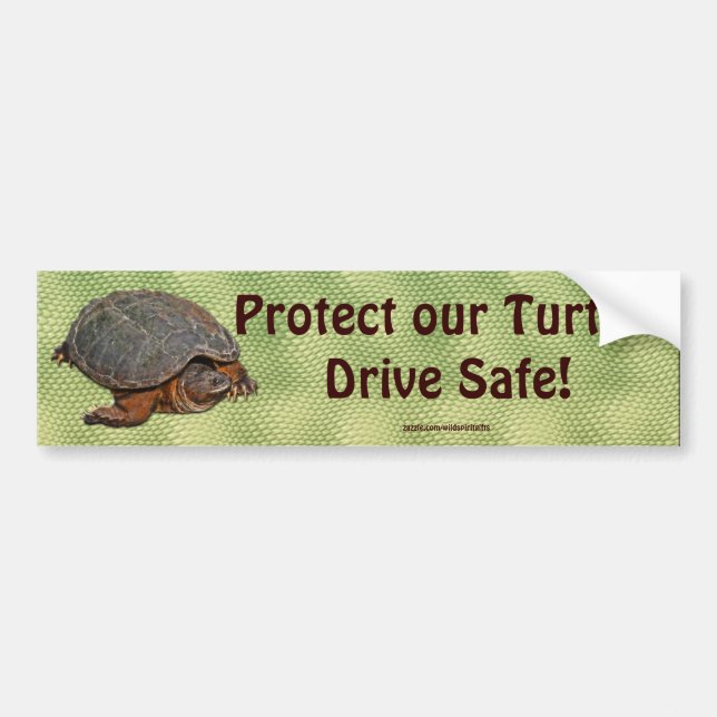 Autocollant De Voiture Tortue serpentine Terrapin-lover Cadeau (Devant)
