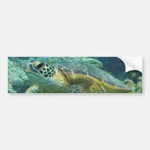 Autocollant De Voiture Tortues en Hawaï