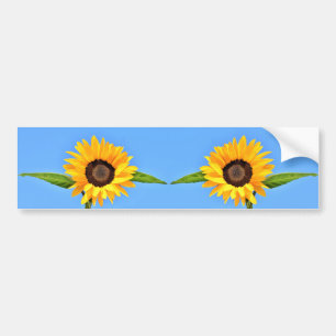 Autocollant De Voiture Tournesols jaunes contre soleil sur ciel bleu - ét