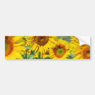 Autocollant De Voiture Tournesols lumineux