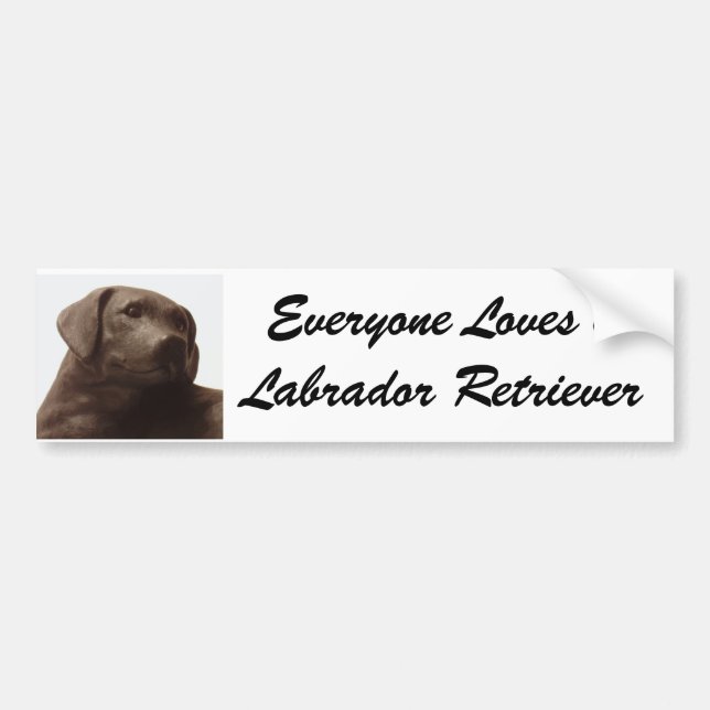 Autocollant De Voiture Tout le monde aime un Labrador Retriever (Devant)