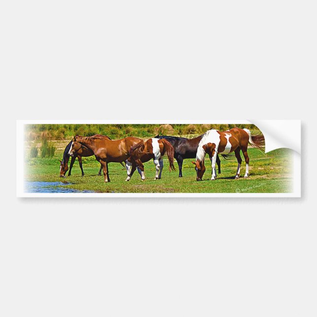 Autocollant De Voiture Troupeau de chevaux (Devant)