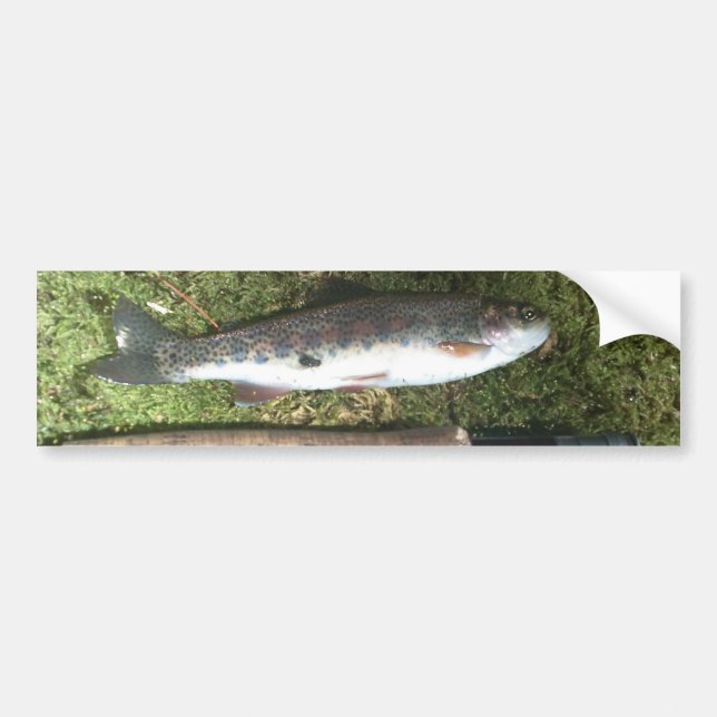 Autocollant De Voiture truite arc-en-ciel et bobine de pêche à la mouche (Devant)