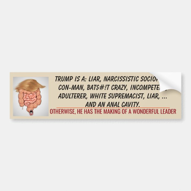 Autocollant De Voiture Trump Anal Cavity TUCK FRUMP 2020 Biden (Devant)