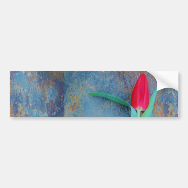 Autocollant De Voiture Tulipe rouge sur ardoise gris bleu (Devant)