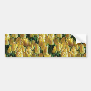 Autocollant De Voiture Tulips Sunshine Yellow