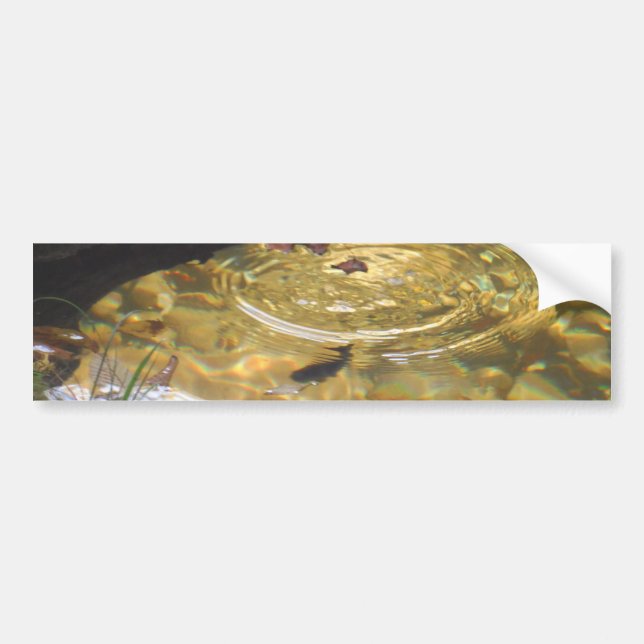 Autocollant De Voiture Underwater Trout feeding in Smoky Mountain creek (Devant)