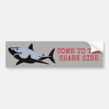 Venez au côté de requin