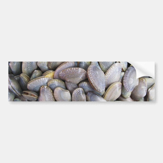 Autocollant De Voiture Venus Clam [ห อ ย ล า ย] (Devant)