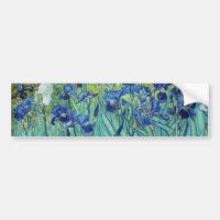 Vincent van Gogh Irises