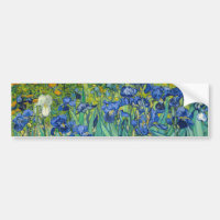 Vincent Van Gogh - Irises