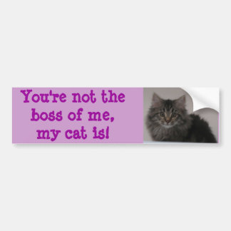Autocollant De Voiture Vous n'êtes pas le patron de moi, mon chat est !