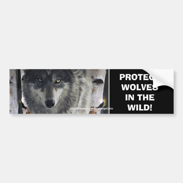 Autocollant De Voiture WOLF EYES Wildlife Conservation Bumper sticker (Devant)