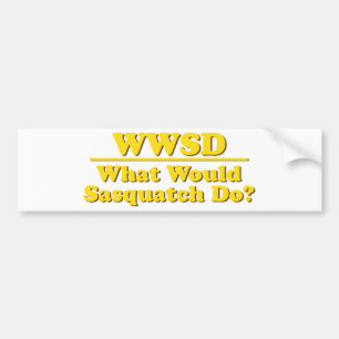 AUTOCOLLANT DE VOITURE WWSD ?