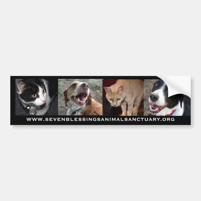 Autocollant De Voiture www.sevenblessingsanimalsanctuary.org (Devant)