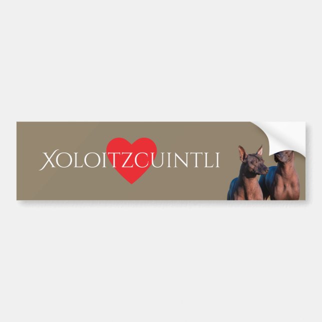 Autocollant De Voiture Xoloitzcuintli (Devant)
