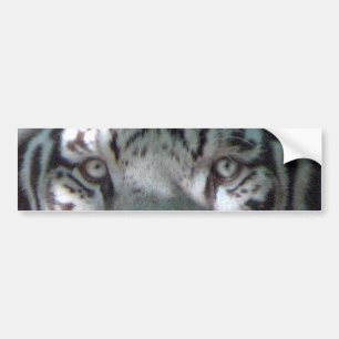 Autocollant De Voiture Yeux blancs de tigre