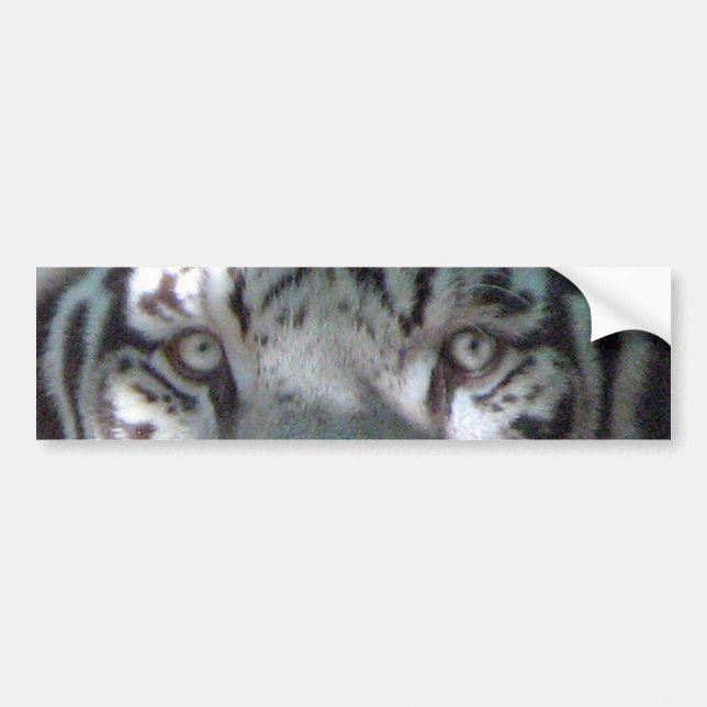 Autocollant De Voiture Yeux blancs de tigre (Devant)