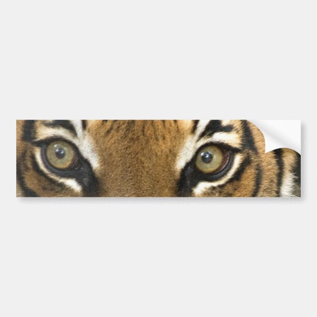 Autocollant De Voiture Yeux du tigre (Devant)