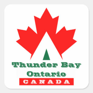 Autocollant de voyage d'étiquette de bagage de