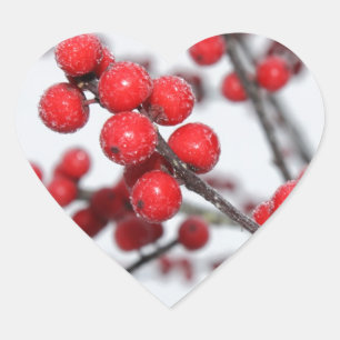 Autocollant de Winterberry