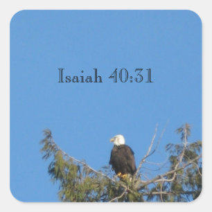 Autocollant d'Eagle chauve